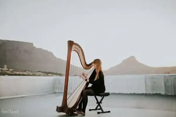 Live music by Classic Music Events — 19