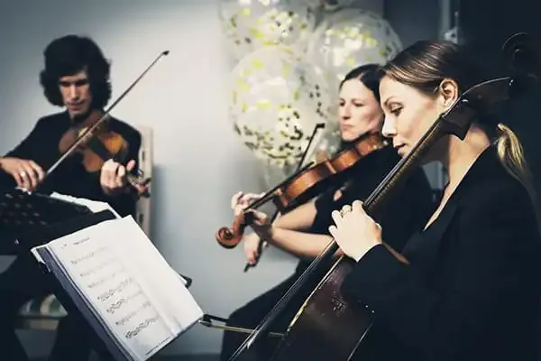 Live musicians performing at an event in Constantia